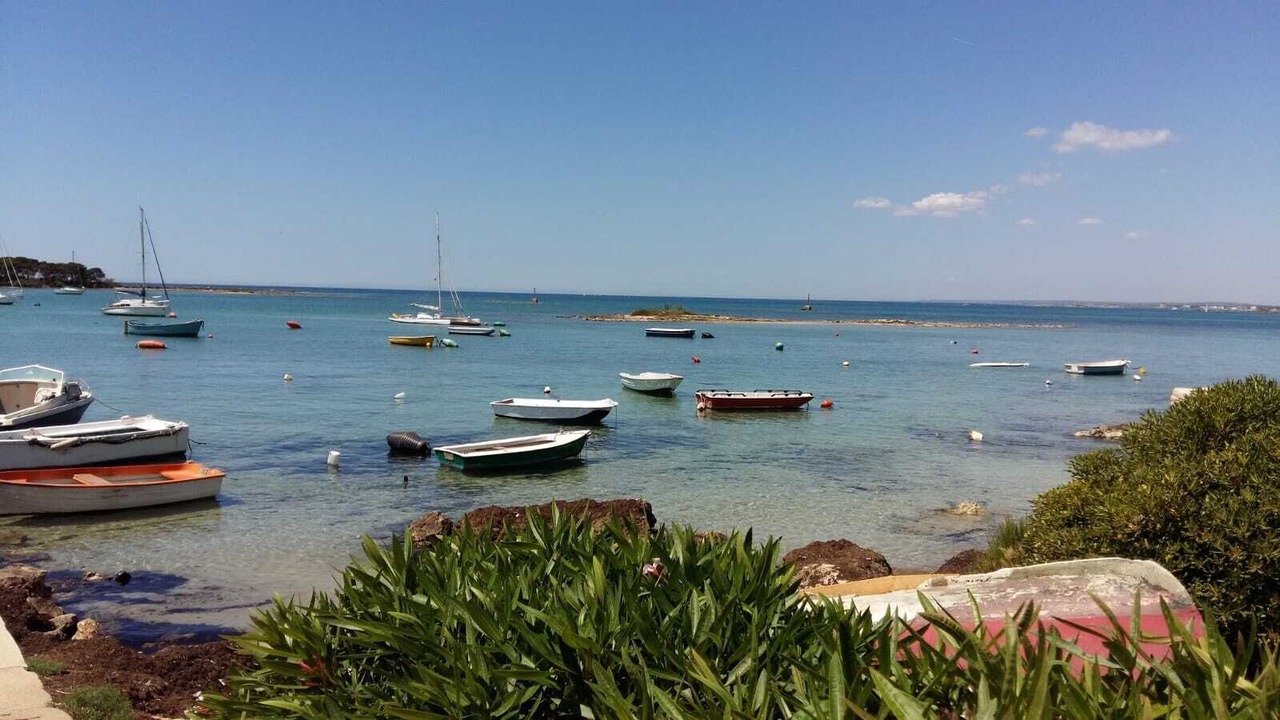Photo of Others in Province of Lecce