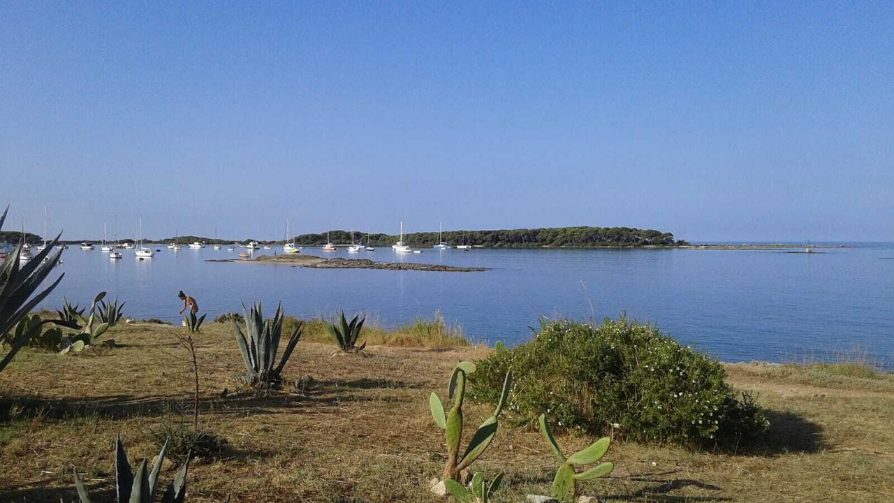 Photo of Others in Province of Lecce