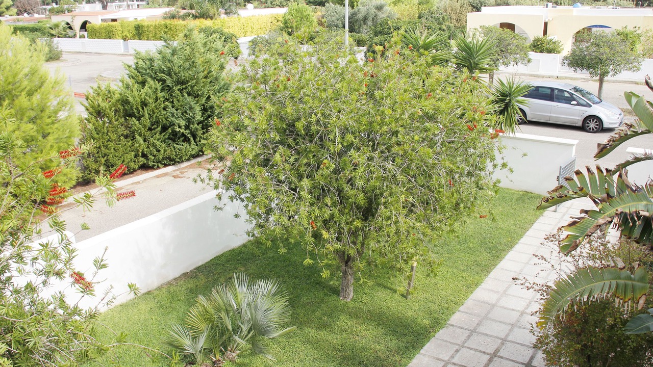 Photo of Outdoor in Torre Saracena