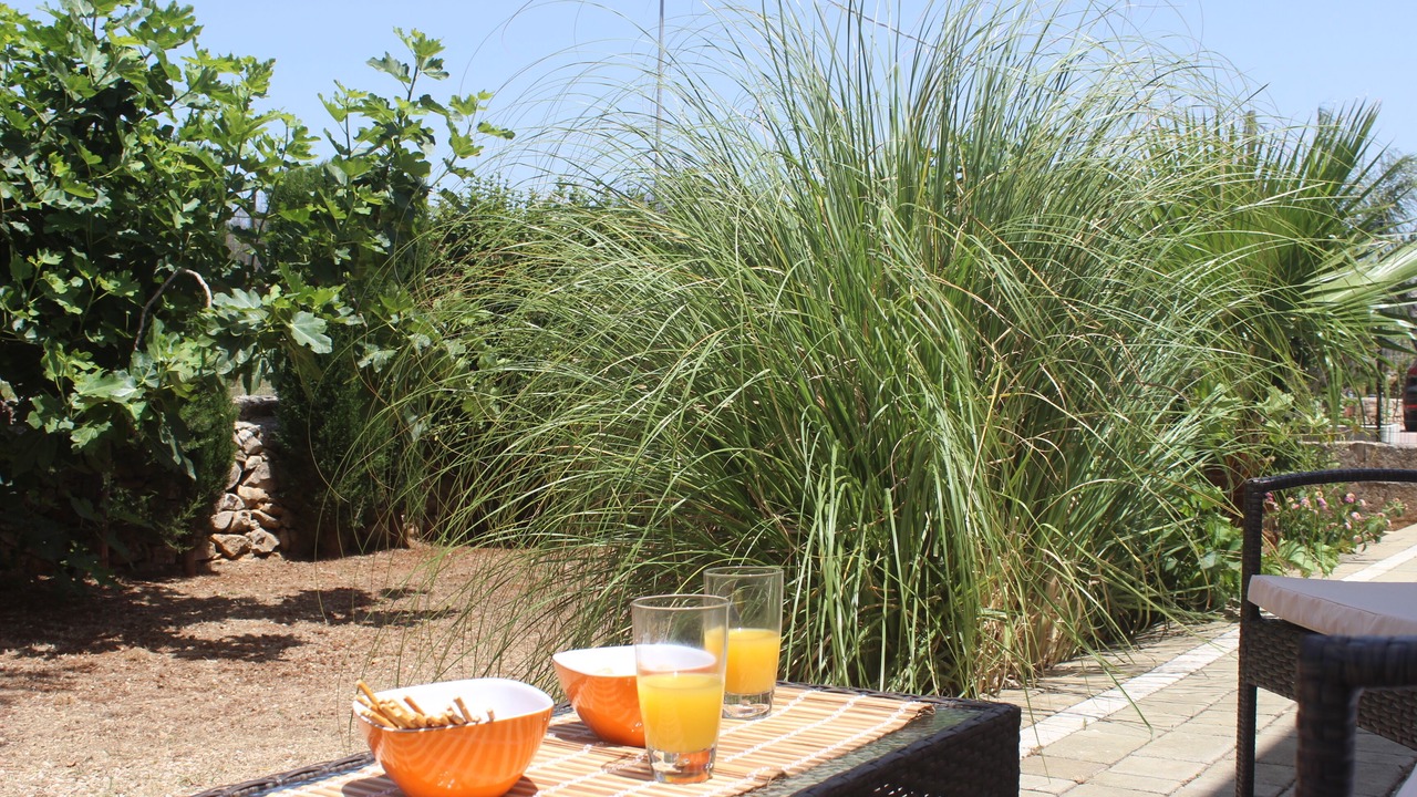 Photo of Outdoor in Torre Suda