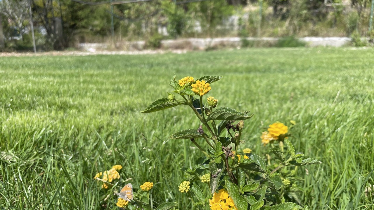 Photo of Outdoor in Otranto
