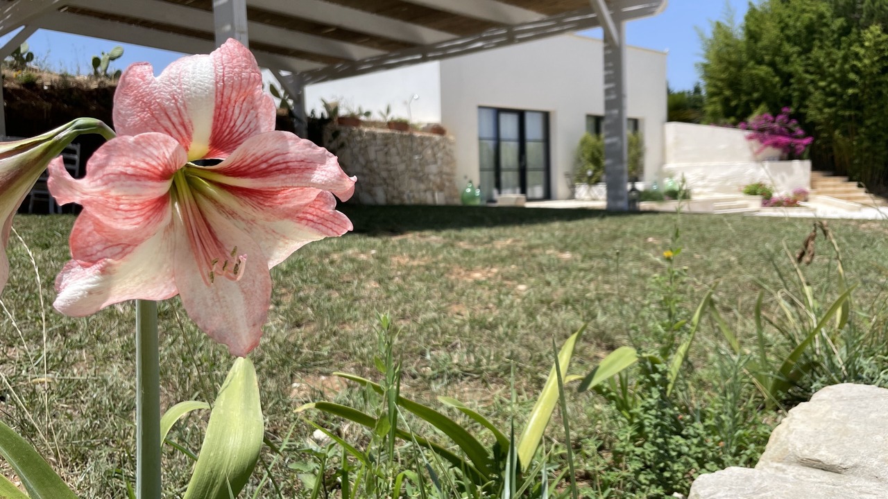 Photo of Outdoor in Otranto