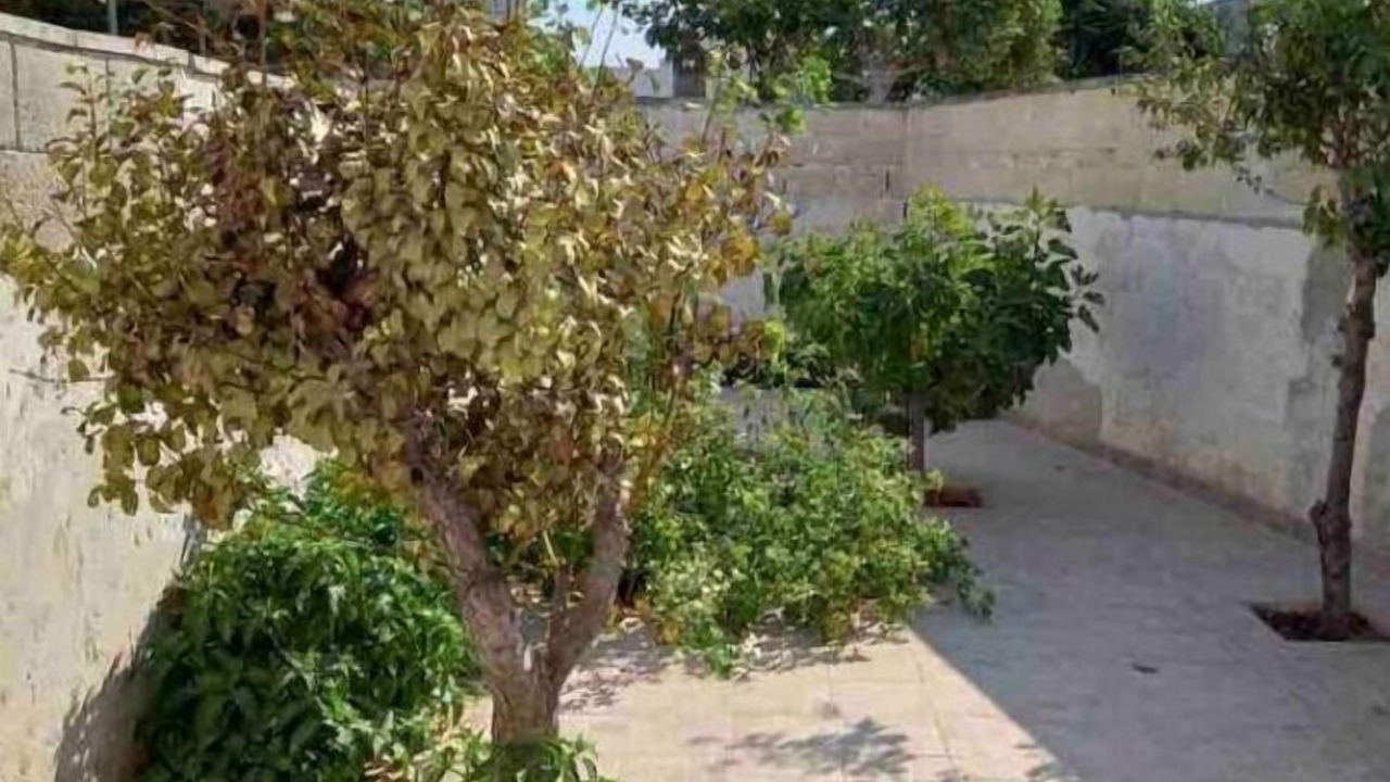 Photo of Outdoor in Sant'Isidoro