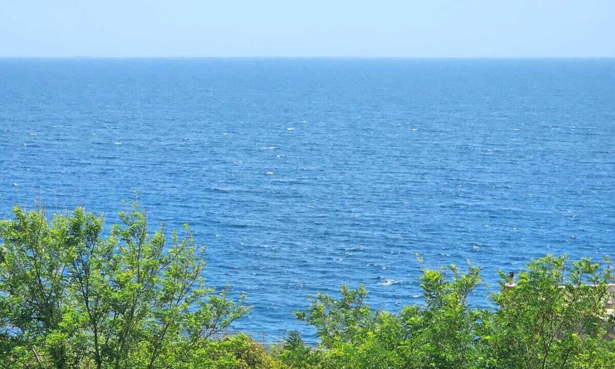 Photo of Others in Marina Serra