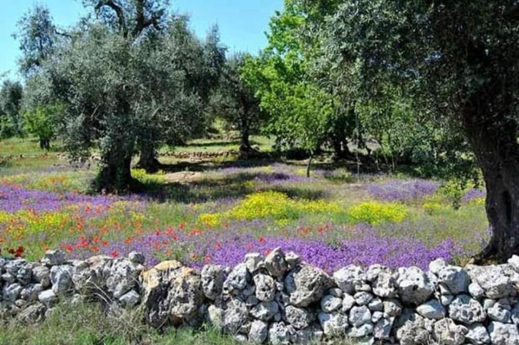 Photo of Outdoor in Otranto