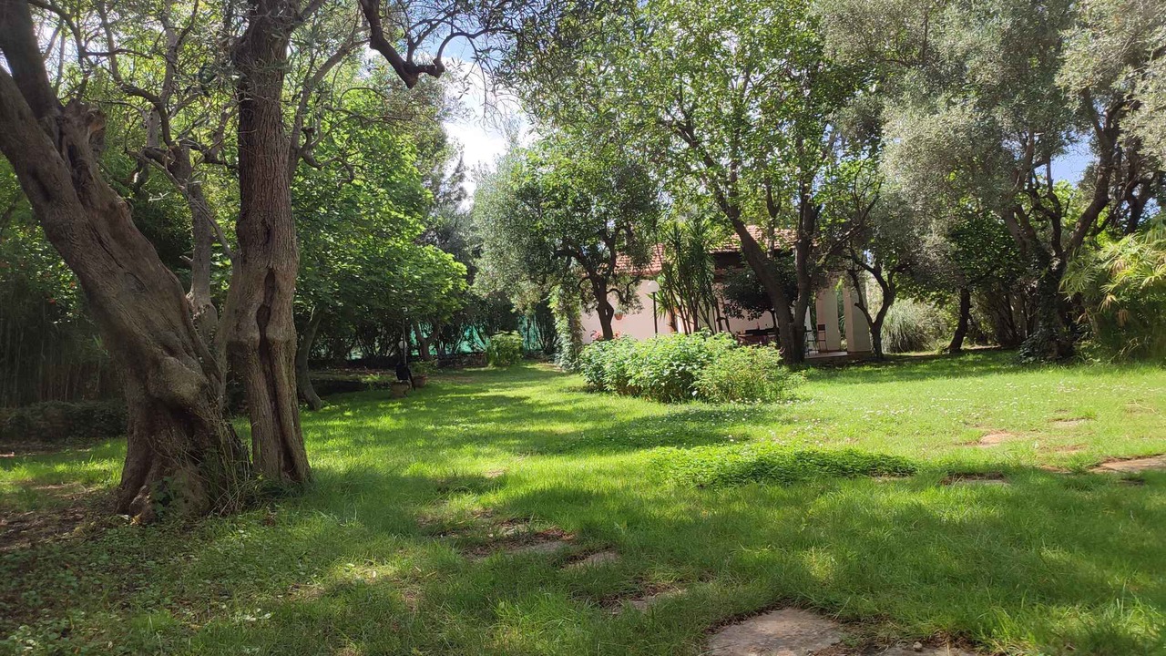 Photo of Outdoor in Molfetta