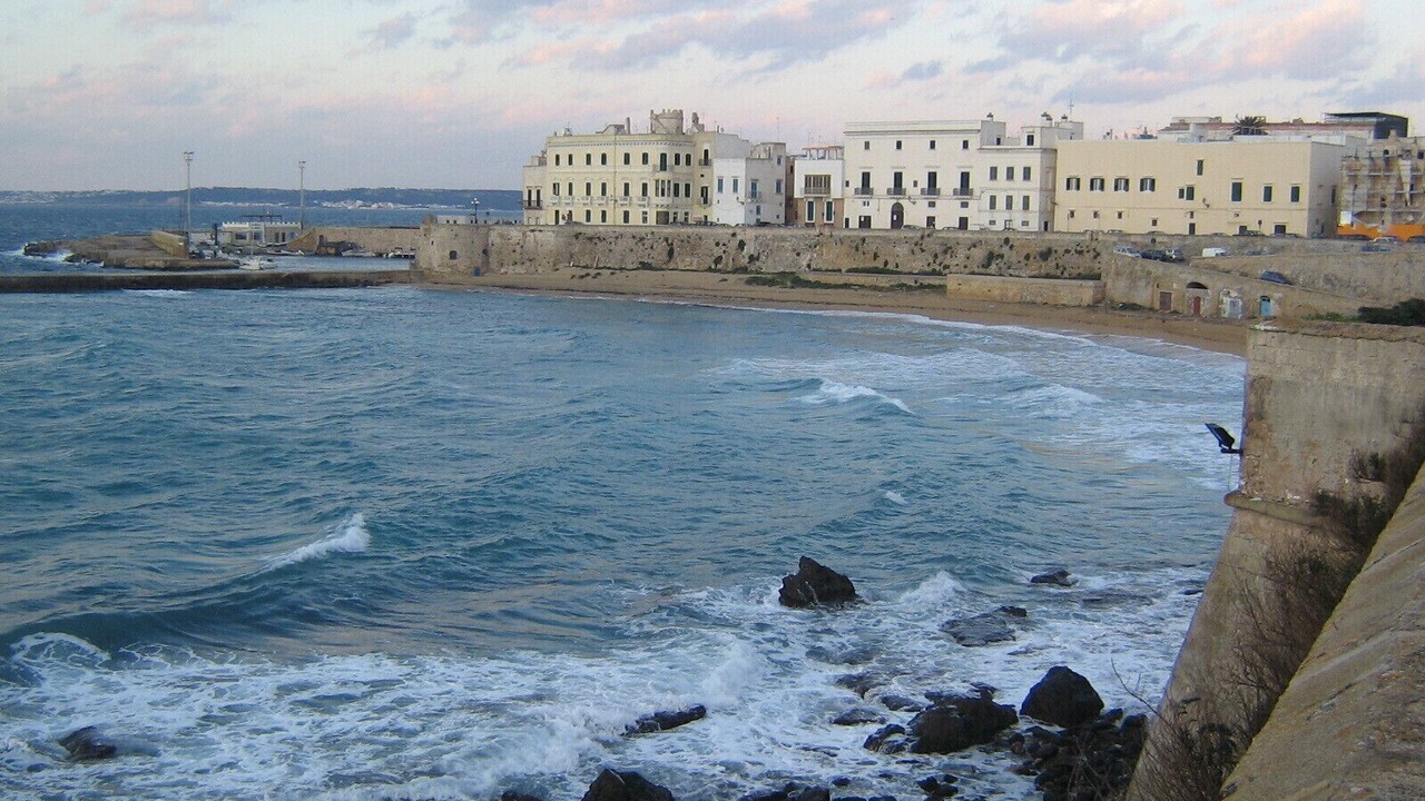Photo of Others in Gallipoli