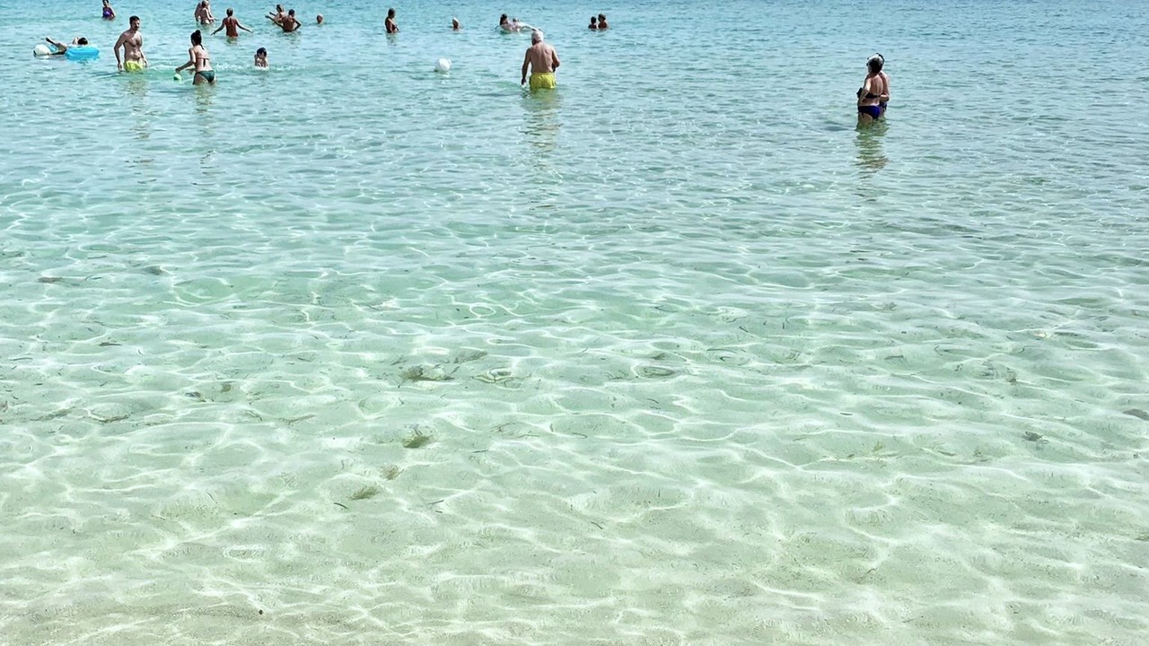 Photo of Others in Lido Marini