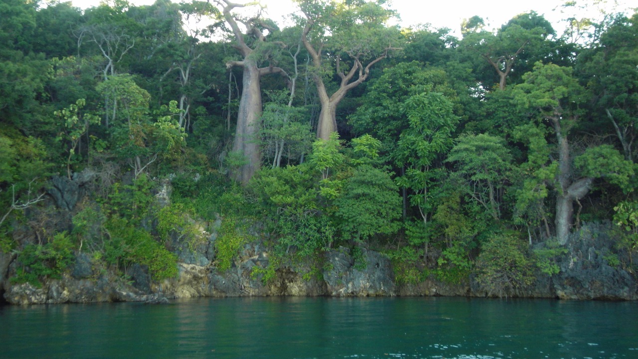 Photo of Others in Ambondrona