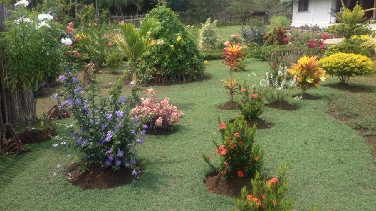 Photo of Outdoor in Ambondrona