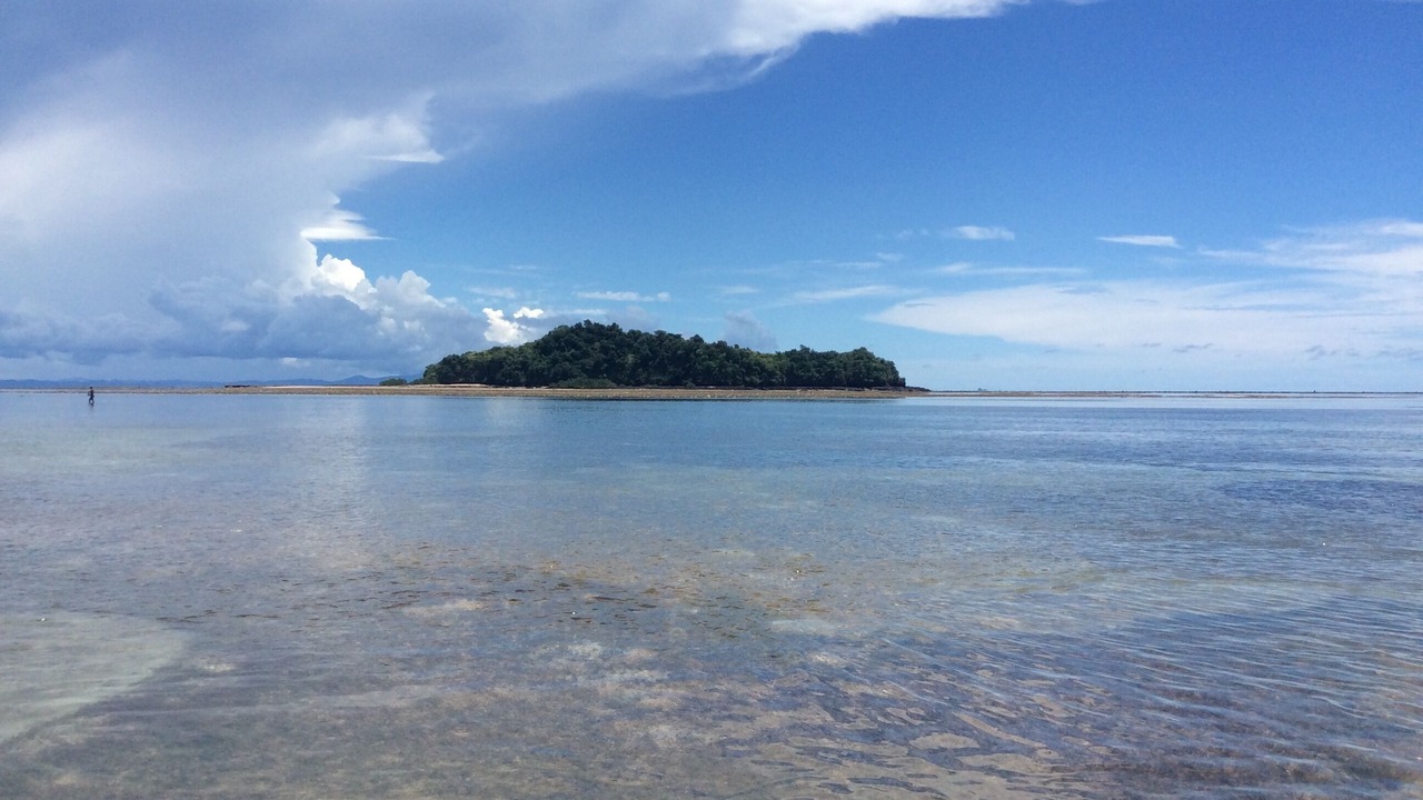 Photo of Others in Ambondrona