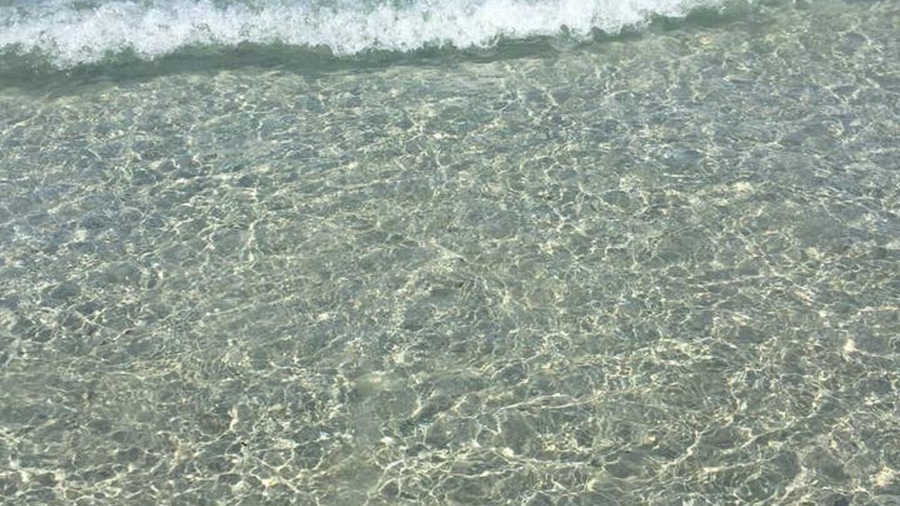 Photo of Others in San Foca