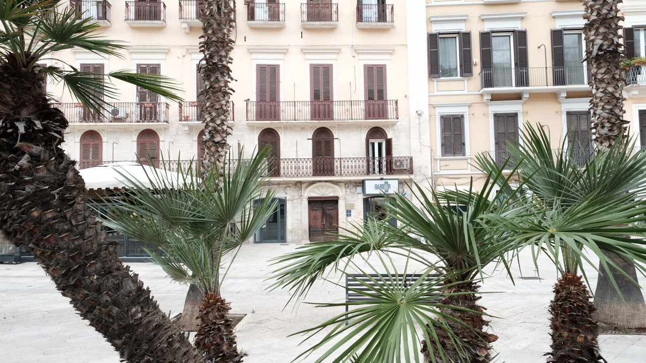 Photo of Outdoor in Bari City Centre