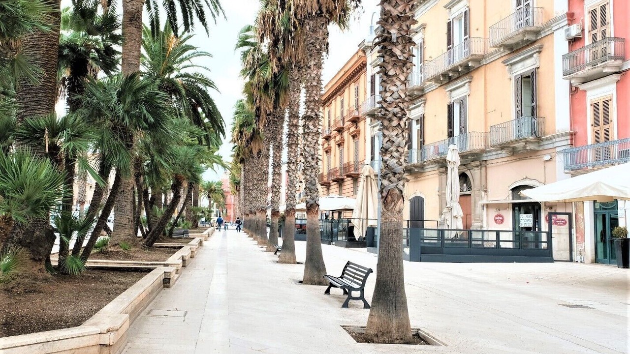 Photo of Outdoor in Bari City Centre