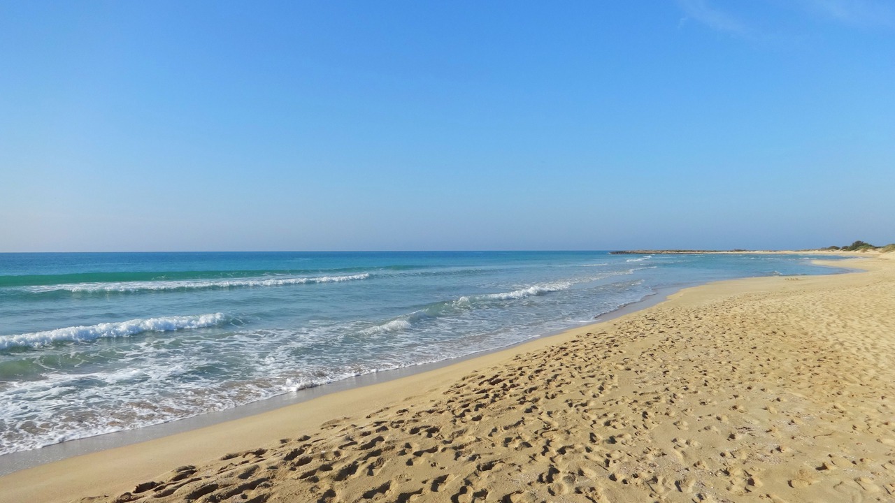 Photo of Others in Lido Marini