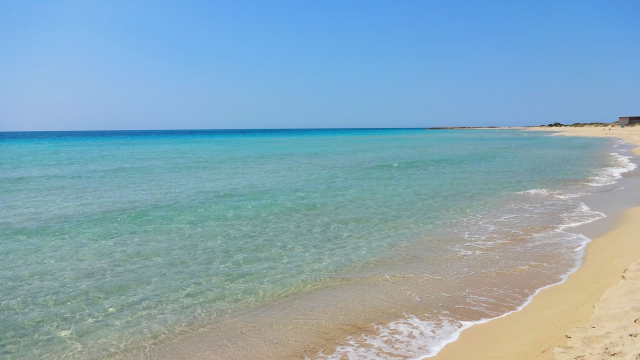 Photo of Others in Lido Marini