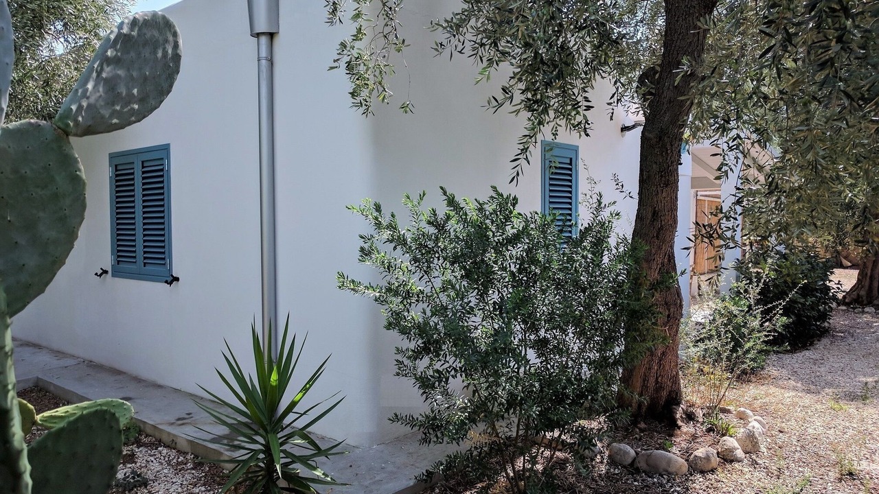 Photo of Outdoor in Mattinata
