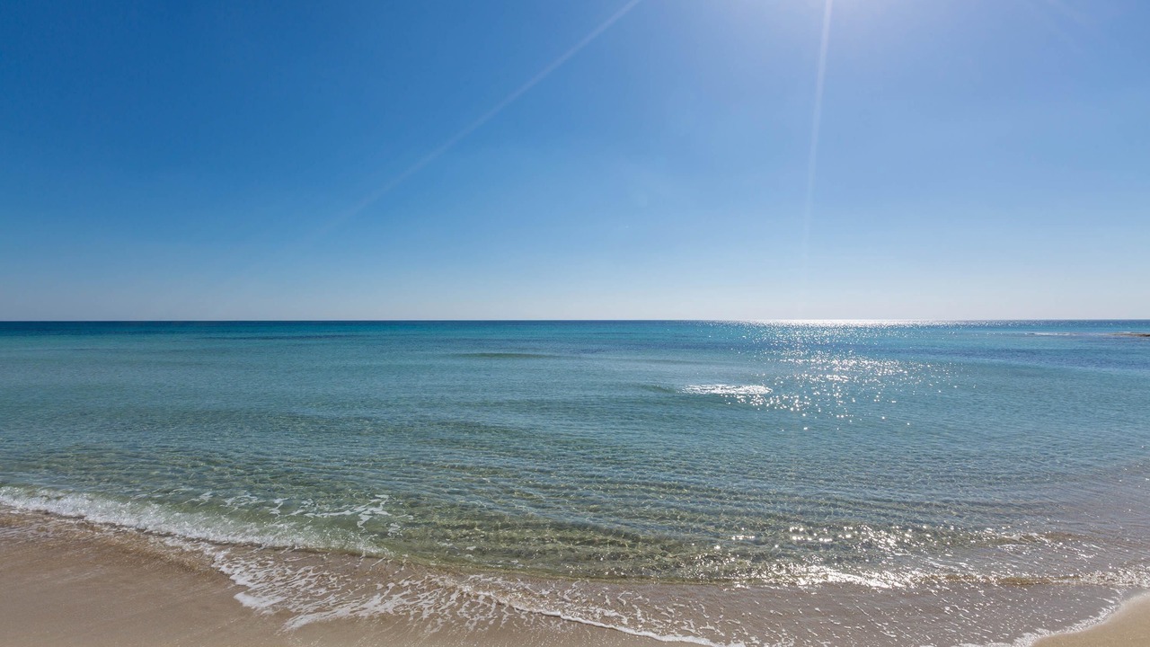 Photo of Others in Torre Lapillo