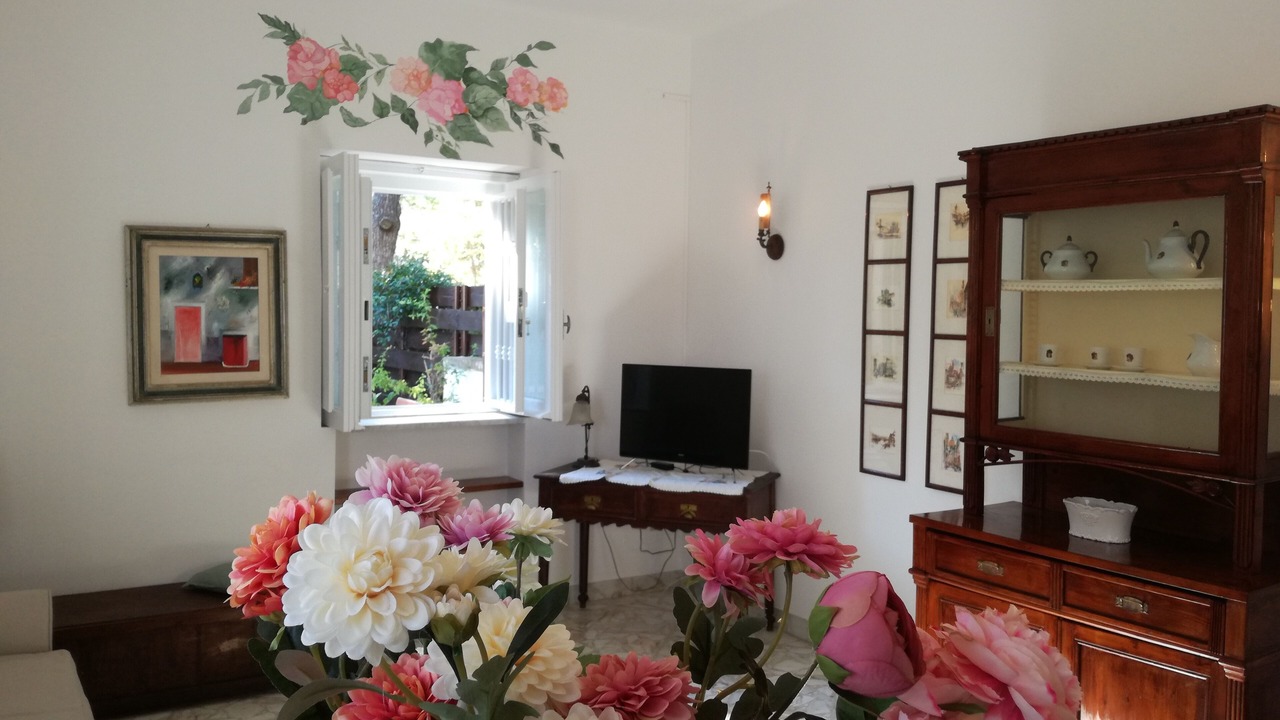 Photo of Livingroom in Municipio 5