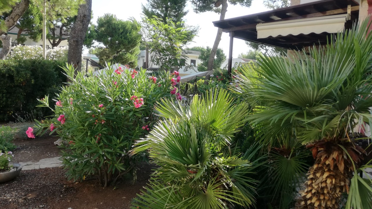 Photo of Outdoor in Municipio 5