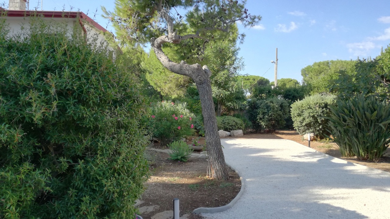 Photo of Outdoor in Municipio 5