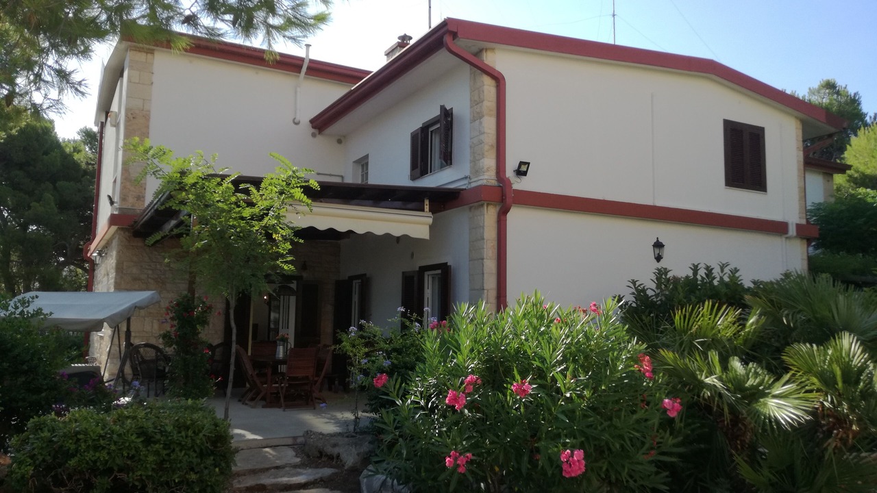 Photo of Outdoor in Municipio 5