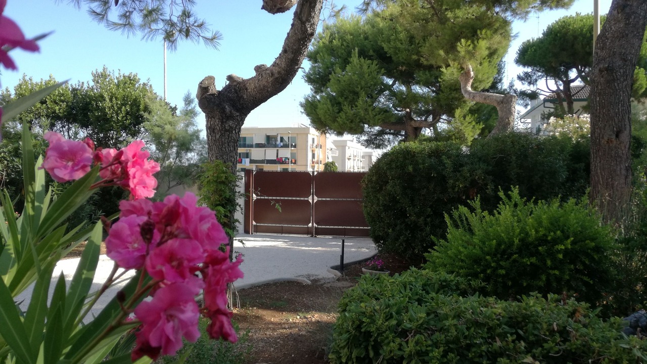 Photo of Outdoor in Municipio 5