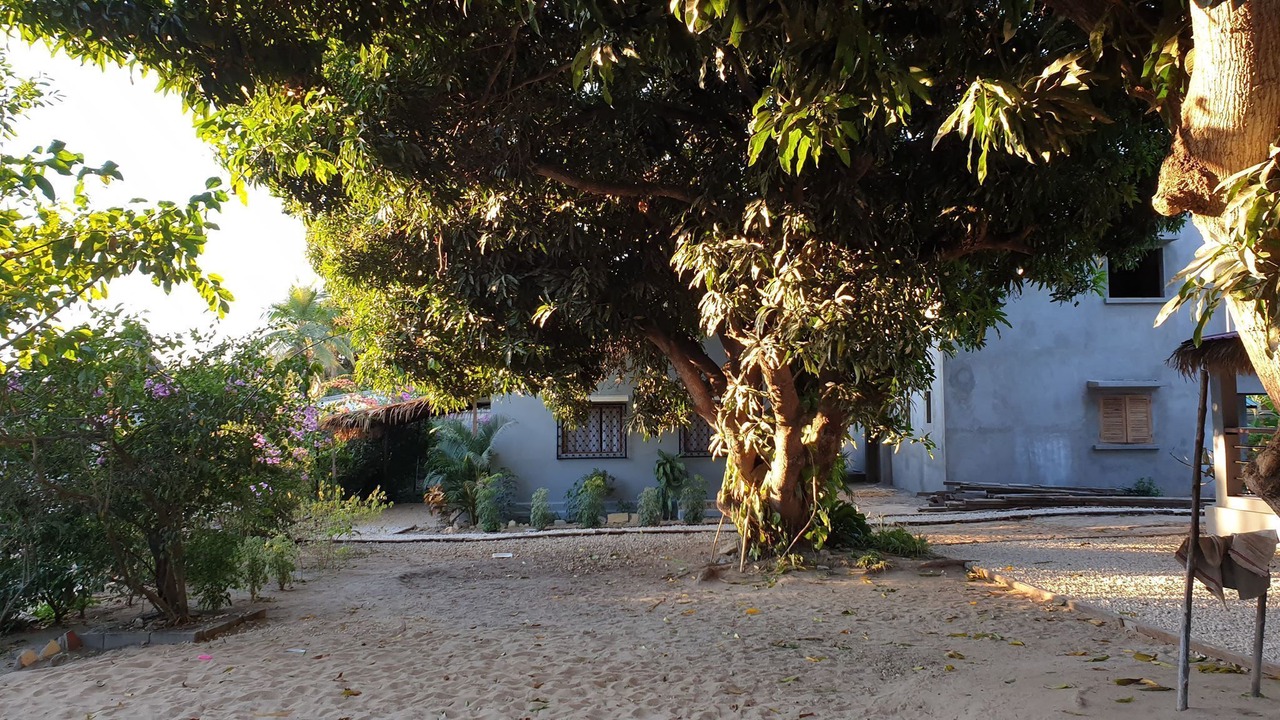 Photo of Outdoor in Mahajanga
