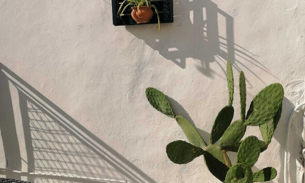 Photo of Outdoor in Capurso