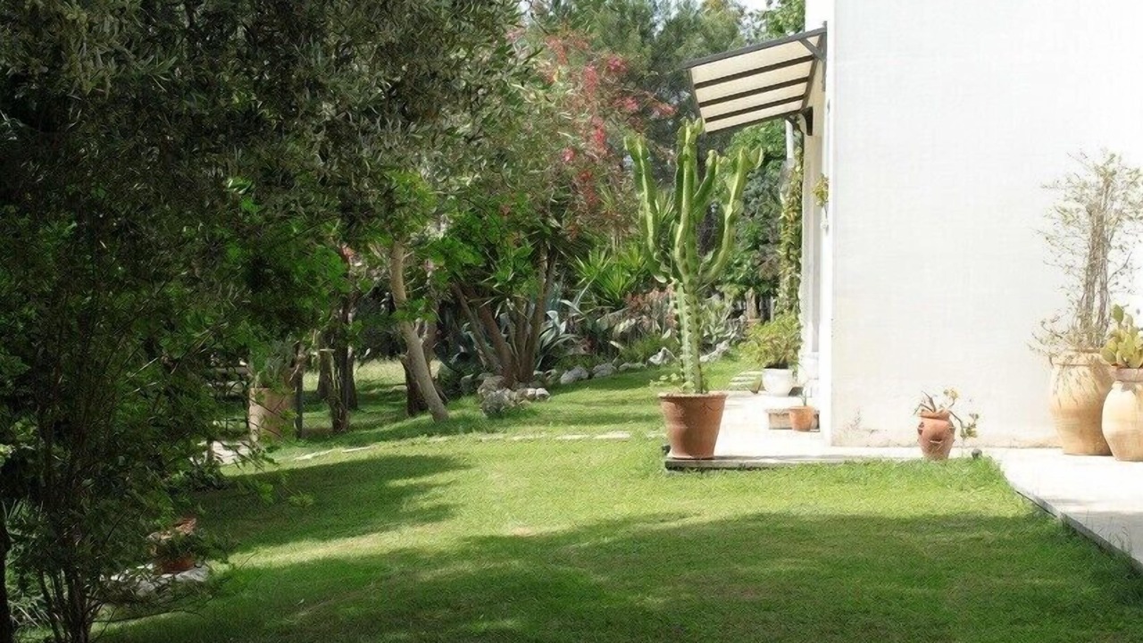 Photo of Outdoor in Lizzanello