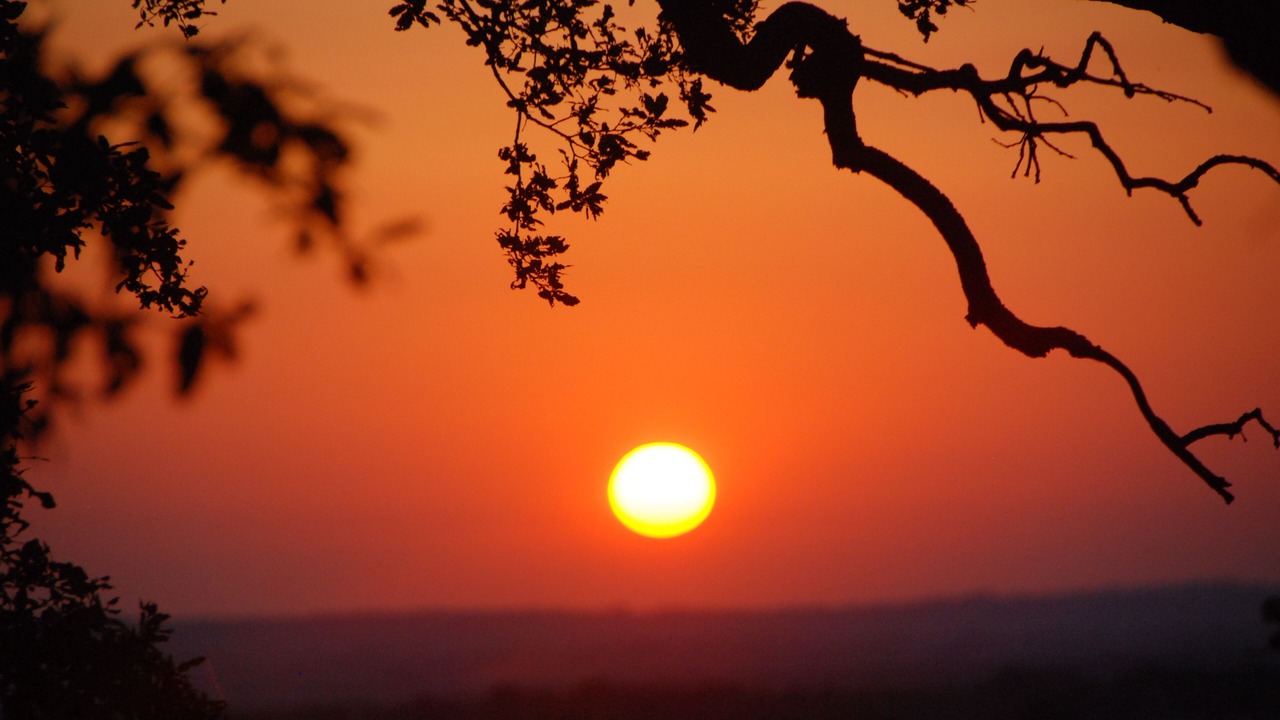Photo of Outdoor in Martina Franca