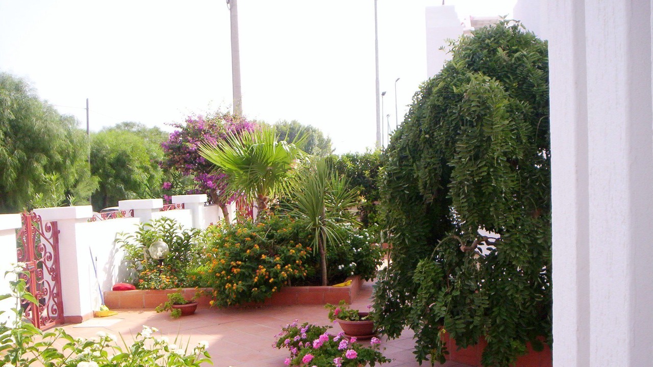 Photo of Outdoor in Lido Marini