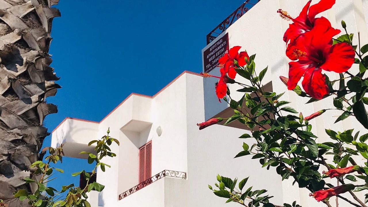 Photo of Outdoor in Lido Marini