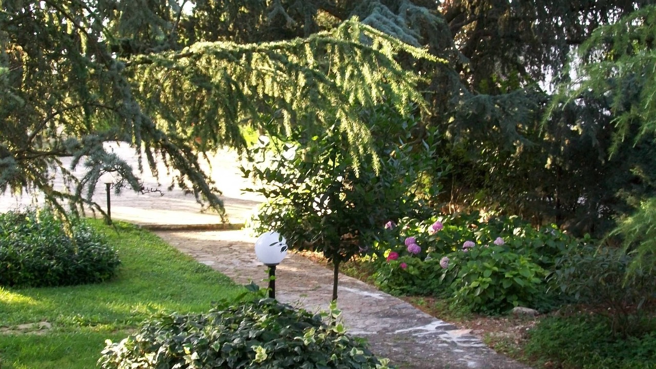 Photo of Outdoor in Selva di Fasano