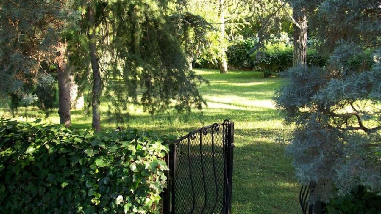 Photo of Outdoor in Selva di Fasano