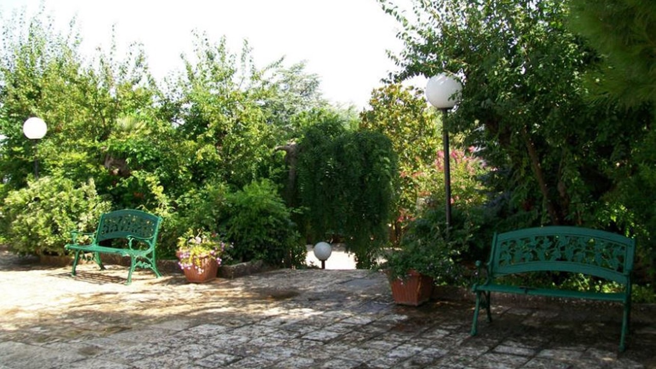 Photo of Outdoor in Selva di Fasano