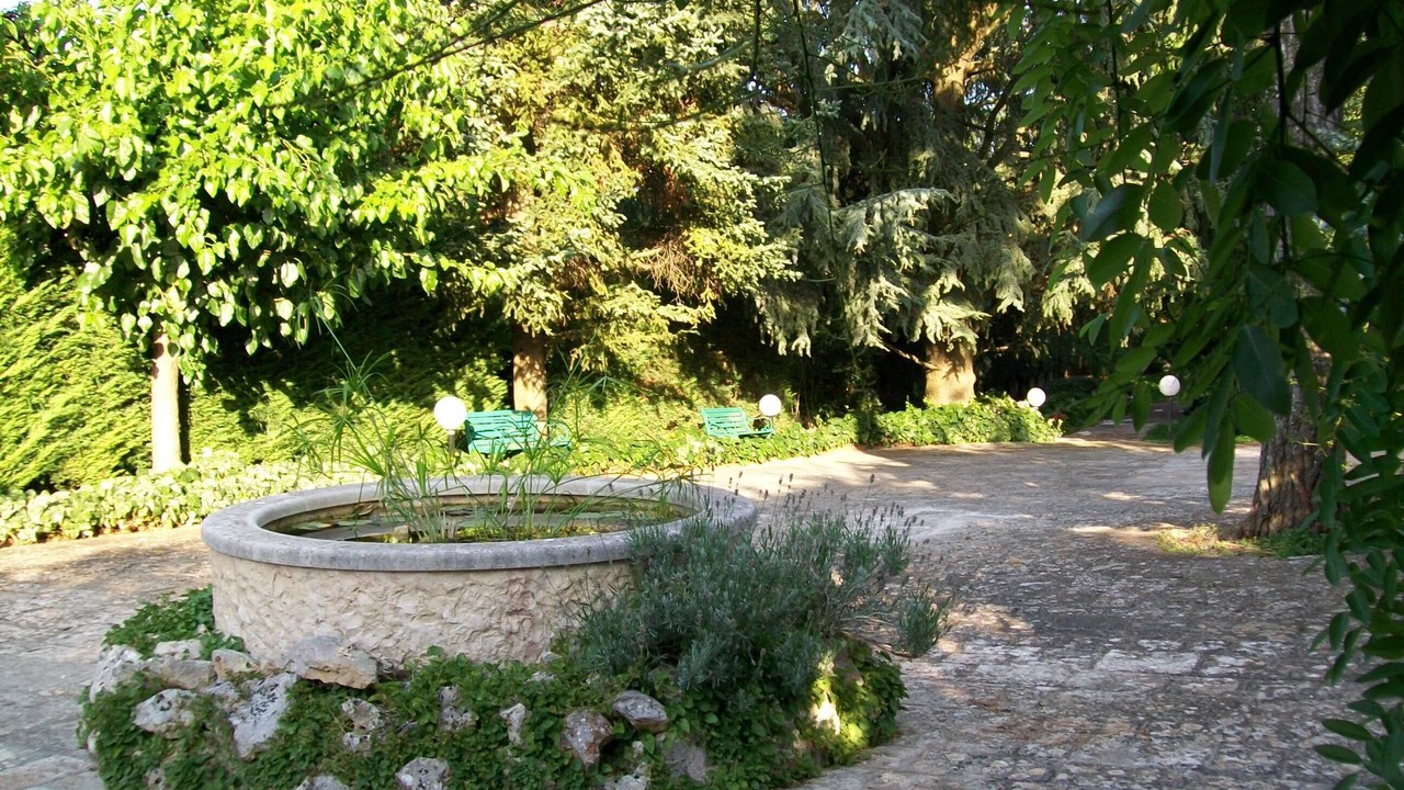 Photo of Outdoor in Selva di Fasano