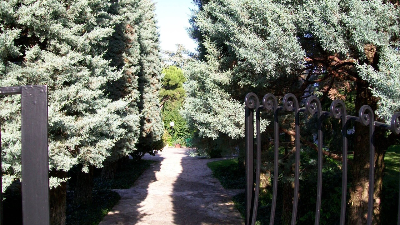 Photo of Outdoor in Selva di Fasano