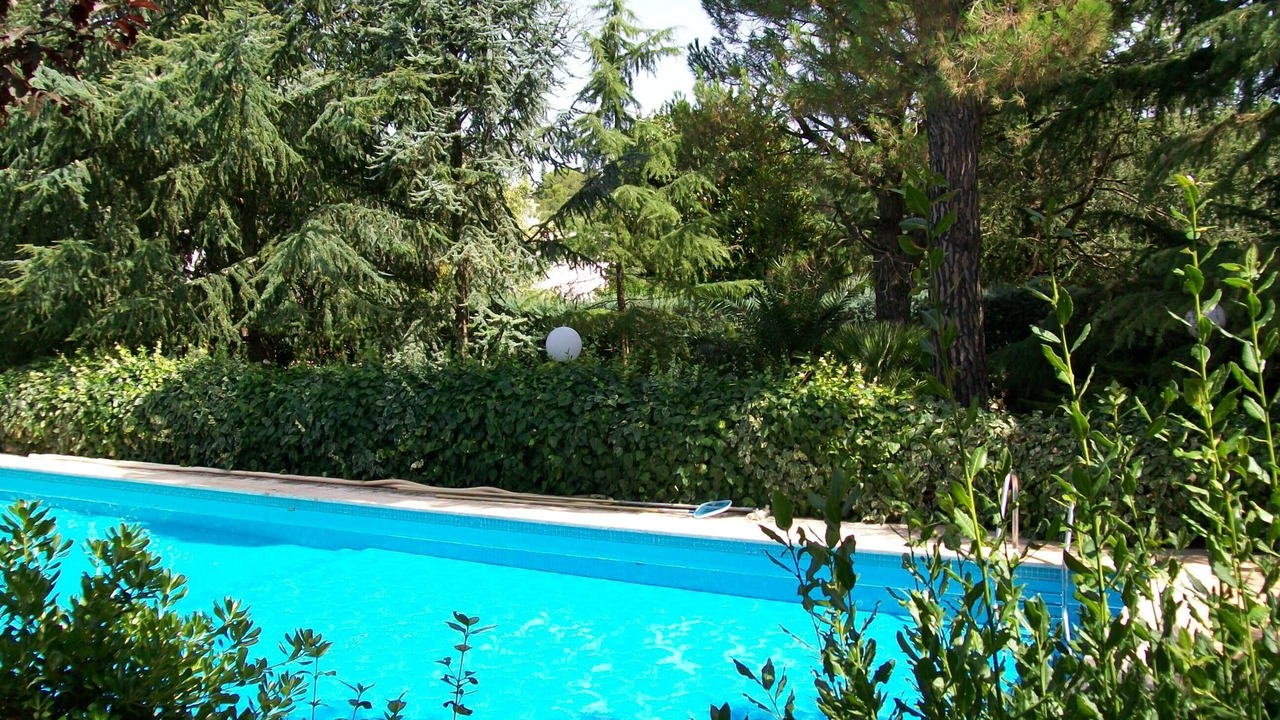 Photo of Outdoor in Selva di Fasano