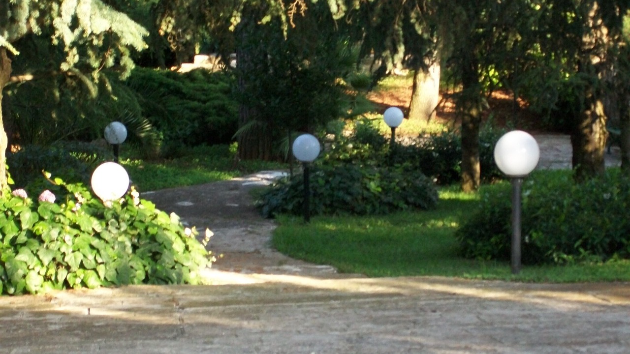 Photo of Outdoor in Selva di Fasano