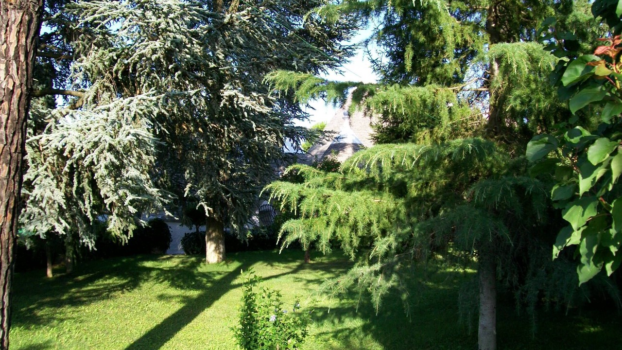 Photo of Outdoor in Selva di Fasano