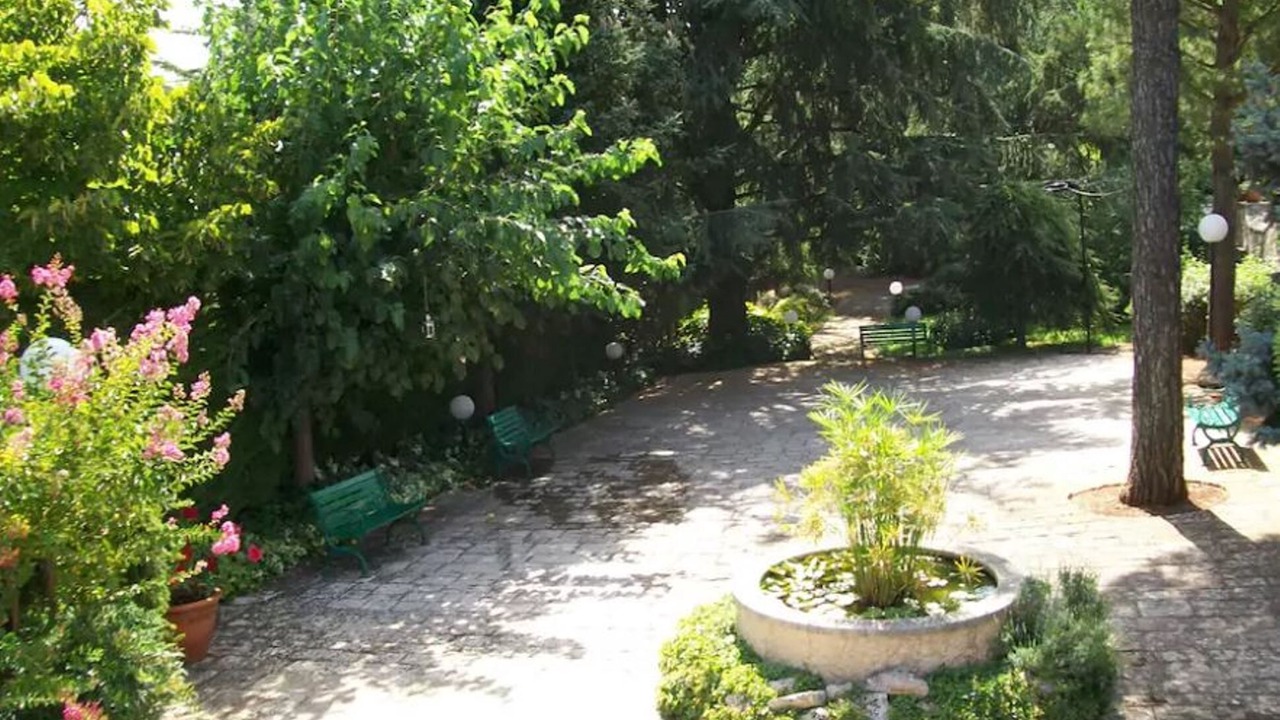 Photo of Outdoor in Selva di Fasano