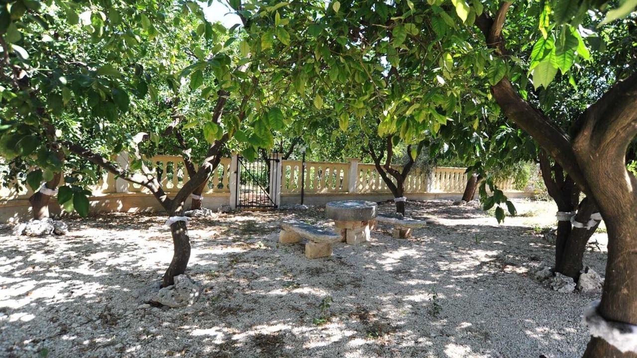 Photo of Outdoor in Mattinata
