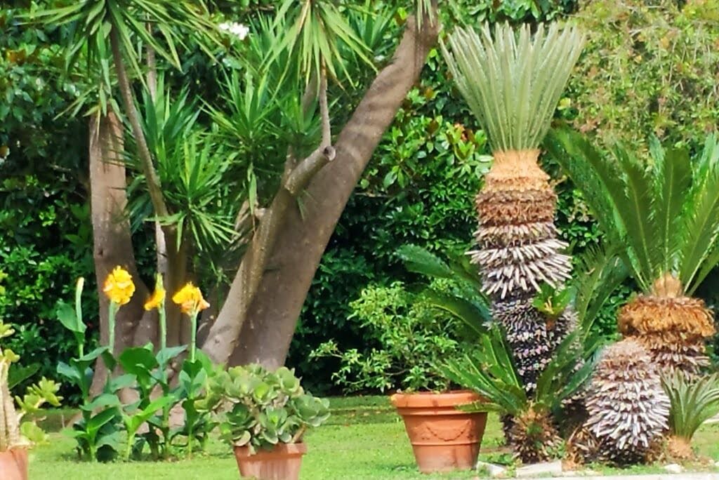 Photo of Outdoor in Mesagne