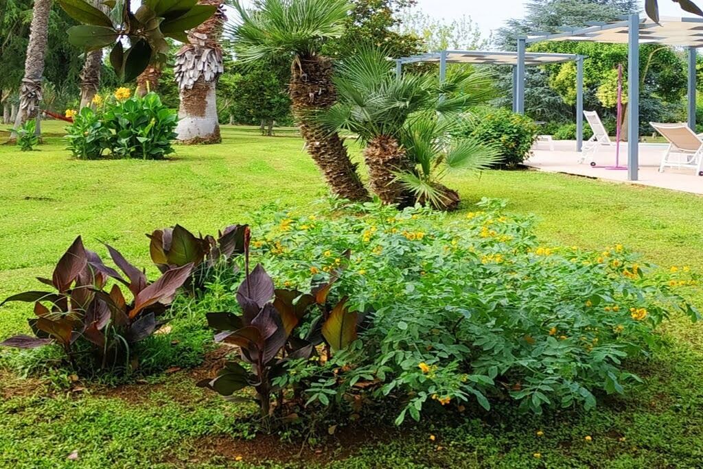 Photo of Outdoor in Mesagne