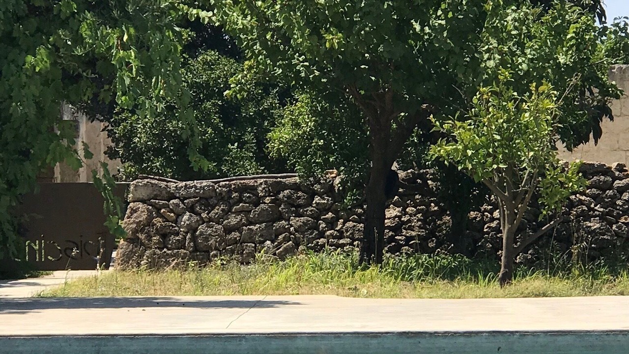 Photo of Outdoor in Serranova