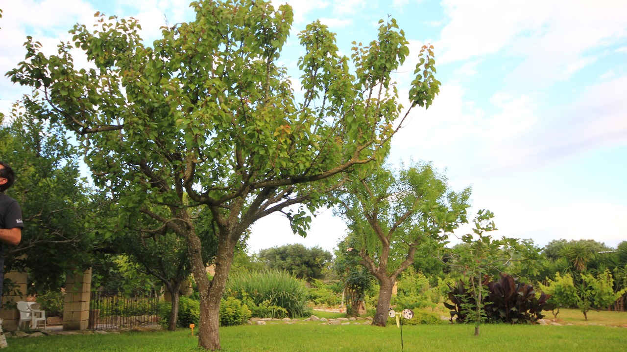 Photo of Outdoor in Lizzanello