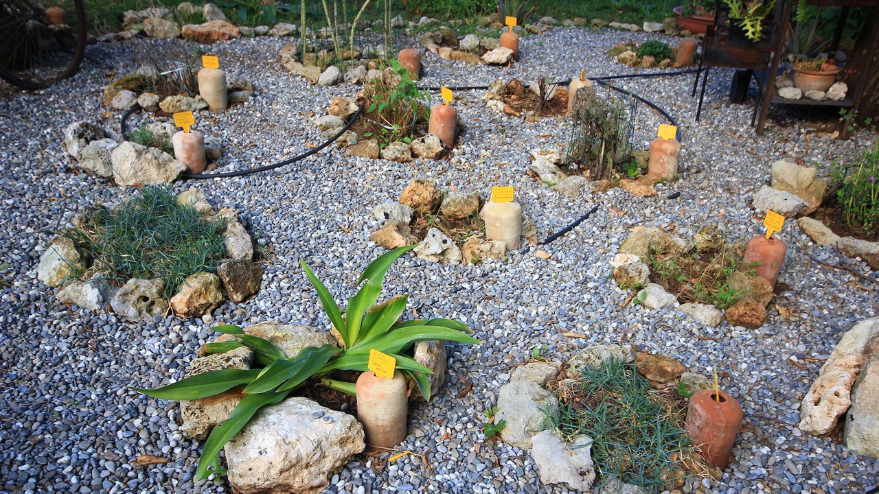 Photo of Outdoor in Lizzanello
