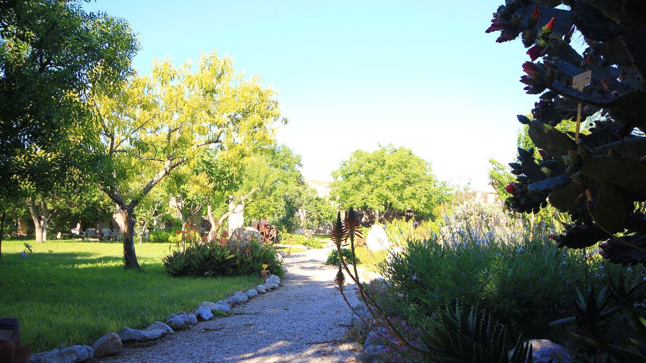 Photo of Outdoor in Lizzanello