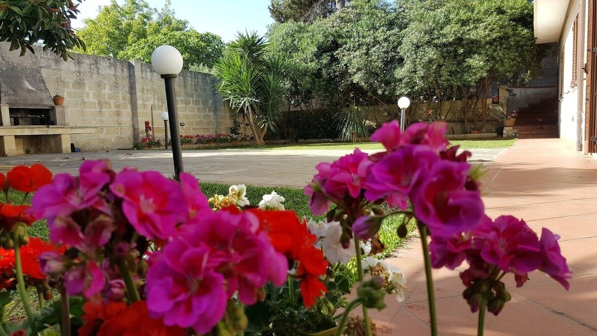 Photo of Outdoor in Martano